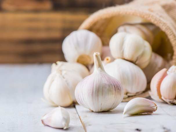 Maulwurf vertreiben mit Knoblauch